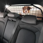 PROTECTIE ANIMALE HYUNDAI